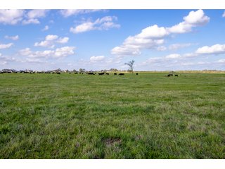 Property photo 45 - RARE LAND AUCTION - 383+/- CONTIGUOUS ACRES OFFERED IN 19 TRACTS IN VAN ZANDT COUNTY, TEXAS