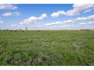 Property photo 46 - RARE LAND AUCTION - 383+/- CONTIGUOUS ACRES OFFERED IN 19 TRACTS IN VAN ZANDT COUNTY, TEXAS