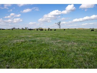 Property photo 47 - RARE LAND AUCTION - 383+/- CONTIGUOUS ACRES OFFERED IN 19 TRACTS IN VAN ZANDT COUNTY, TEXAS