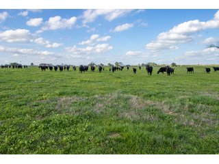 Property photo 48 - RARE LAND AUCTION - 383+/- CONTIGUOUS ACRES OFFERED IN 19 TRACTS IN VAN ZANDT COUNTY, TEXAS