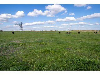 Property photo 49 - RARE LAND AUCTION - 383+/- CONTIGUOUS ACRES OFFERED IN 19 TRACTS IN VAN ZANDT COUNTY, TEXAS