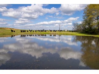 Property photo 57 - RARE LAND AUCTION - 383+/- CONTIGUOUS ACRES OFFERED IN 19 TRACTS IN VAN ZANDT COUNTY, TEXAS