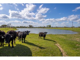 Property photo 61 - RARE LAND AUCTION - 383+/- CONTIGUOUS ACRES OFFERED IN 19 TRACTS IN VAN ZANDT COUNTY, TEXAS