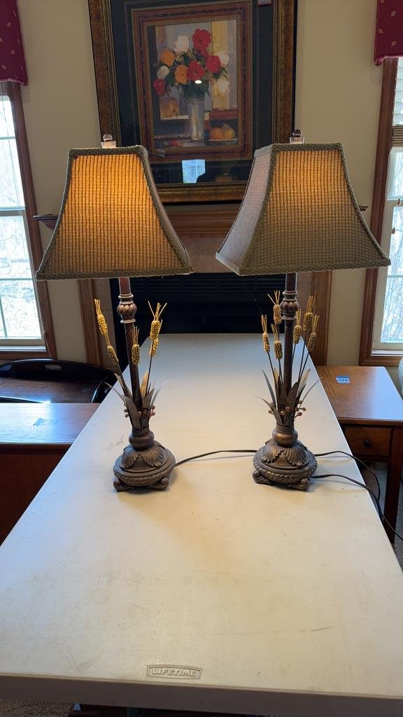 Property photo 34 - TIMED ONLINE ONLY PERSONAL PROPERTY AUCTION IN STEUBEN COUNTY, INDIANA