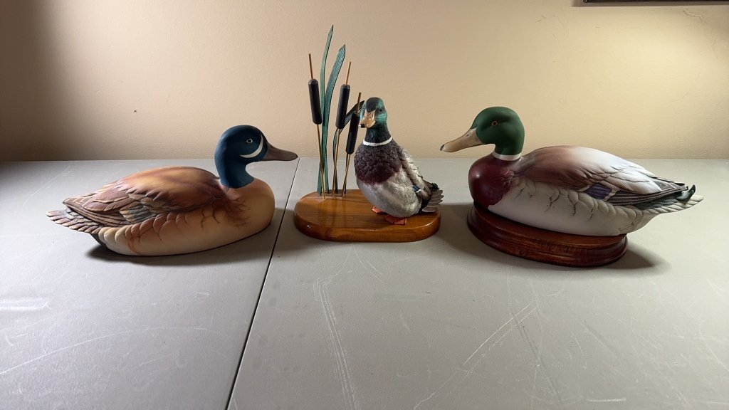 Property photo 36 - TIMED ONLINE ONLY PERSONAL PROPERTY AUCTION IN STEUBEN COUNTY, INDIANA