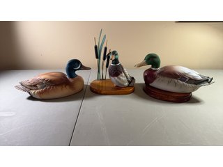 Property photo 36 - TIMED ONLINE ONLY PERSONAL PROPERTY AUCTION IN STEUBEN COUNTY, INDIANA