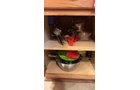 Property photo 502 - TIMED ONLINE ONLY PERSONAL PROPERTY AUCTION IN STEUBEN COUNTY, INDIANA