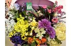Property photo 21 - TIMED ONLINE ONLY Floral Shop Business Liquidation Auction #2 IN ALLEN COUNTY, INDIANA