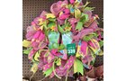 Property photo 23 - TIMED ONLINE ONLY Floral Shop Business Liquidation Auction #2 IN ALLEN COUNTY, INDIANA