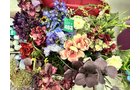 Property photo 37 - TIMED ONLINE ONLY Floral Shop Business Liquidation Auction #2 IN ALLEN COUNTY, INDIANA