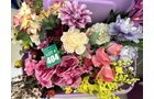Property photo 38 - TIMED ONLINE ONLY Floral Shop Business Liquidation Auction #2 IN ALLEN COUNTY, INDIANA