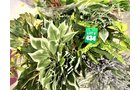 Property photo 11 - TIMED ONLINE ONLY Floral Shop Business Liquidation Auction #2 IN ALLEN COUNTY, INDIANA