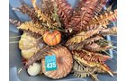 Property photo 12 - TIMED ONLINE ONLY Floral Shop Business Liquidation Auction #2 IN ALLEN COUNTY, INDIANA
