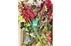 Property photo 14 - TIMED ONLINE ONLY Floral Shop Business Liquidation Auction #2 IN ALLEN COUNTY, INDIANA