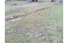 Property photo 33 - REAL ESTATE AUCTION - 2+/- ACRES OFFERED IN 1 TRACT IN WHITLEY COUNTY, INDIANA