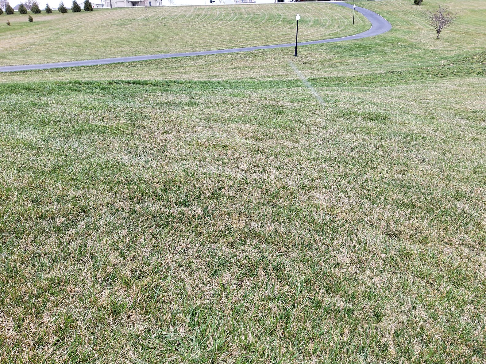 Property photo 50 - REAL ESTATE AUCTION - 4.73+/- ACRES OFFERED IN 3 TRACTS IN WHITLEY COUNTY, INDIANA