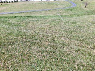 Property photo 50 - REAL ESTATE AUCTION - 4.73+/- ACRES OFFERED IN 3 TRACTS IN WHITLEY COUNTY, INDIANA