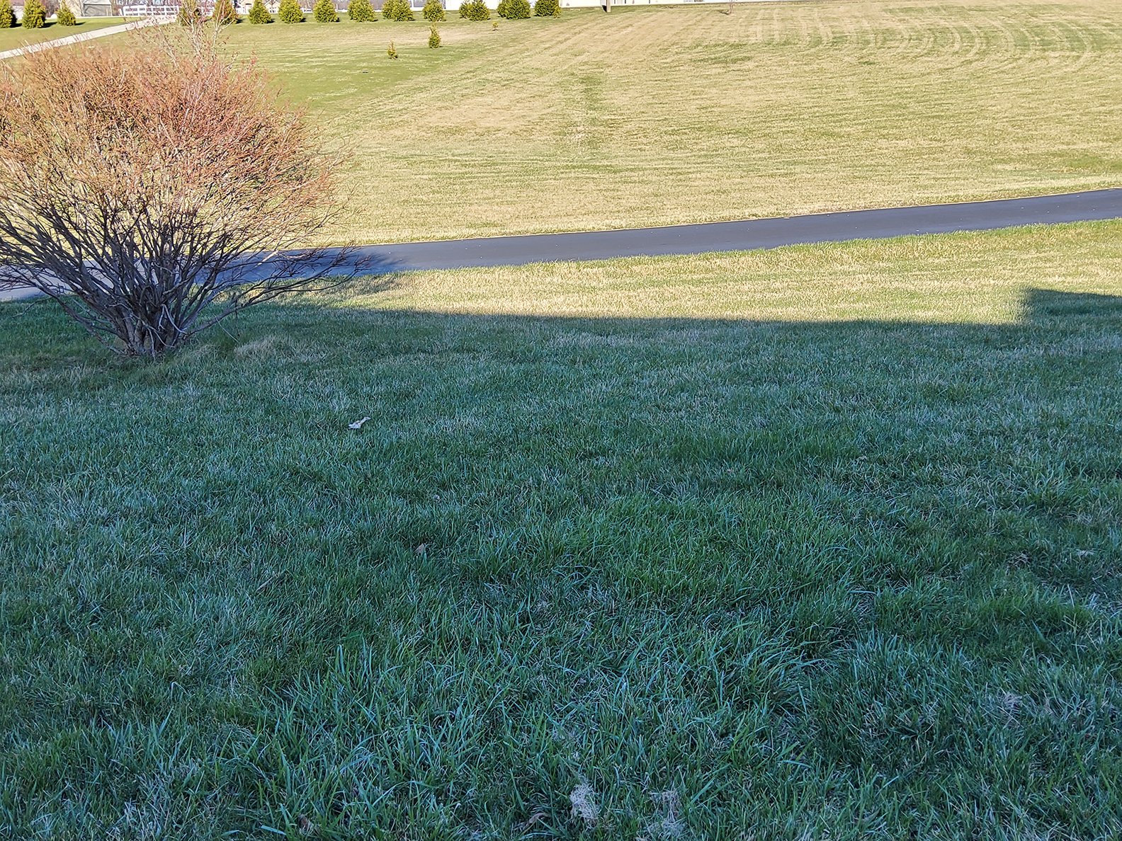 Property photo 203 - REAL ESTATE AUCTION - 4.73+/- ACRES OFFERED IN 3 TRACTS IN WHITLEY COUNTY, INDIANA
