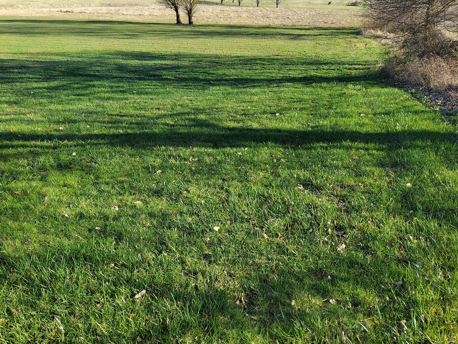 Property photo 229 - REAL ESTATE AUCTION - 4.73+/- ACRES OFFERED IN 3 TRACTS IN WHITLEY COUNTY, INDIANA