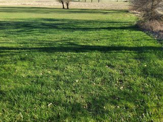 Property photo 229 - REAL ESTATE AUCTION - 4.73+/- ACRES OFFERED IN 3 TRACTS IN WHITLEY COUNTY, INDIANA