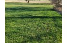 Property photo 229 - REAL ESTATE AUCTION - 4.73+/- ACRES OFFERED IN 3 TRACTS IN WHITLEY COUNTY, INDIANA