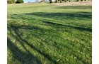 Property photo 230 - REAL ESTATE AUCTION - 4.73+/- ACRES OFFERED IN 3 TRACTS IN WHITLEY COUNTY, INDIANA