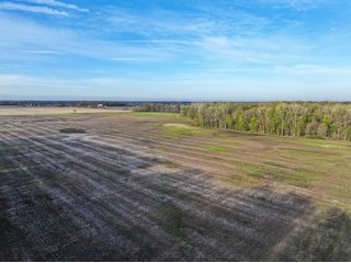 Property photo 1 - PREMIER LAND AUCTION - 321+/- ACRES OFFERED IN 11 TRACTS IN DEKALB COUNTY, INDIANA