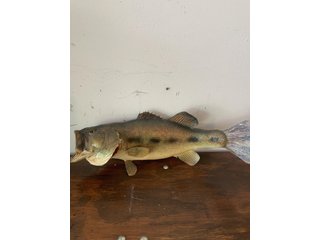 Property photo 146 - TIMED ONLINE ONLY PERSONAL PROPERTY AUCTION IN ALLEN COUNTY, INDIANA