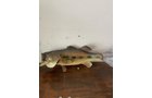 Property photo 146 - TIMED ONLINE ONLY PERSONAL PROPERTY AUCTION IN ALLEN COUNTY, INDIANA