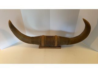 Property photo 35 - TIMED ONLINE ONLY PERSONAL PROPERTY AUCTION IN ALLEN COUNTY, INDIANA