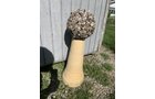 Property photo 11 - 2 ONLINE PERSONAL PROPERTY AUCTIONS - DAY 1 IN ALLEN COUNTY, INDIANA