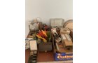 Property photo 224 - TIMED ONLINE ONLY PERSONAL PROPERTY AUCTION IN ALLEN COUNTY, INDIANA