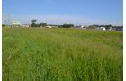 Property photo 22 - **CANCELED** DEVELOPMENT PROPERTY - 10+/- ACRES OFFERED IN 3 TRACTS OR ANY COMBINATION AND AS A WHOLE IN LAKE COUNTY, INDIANA