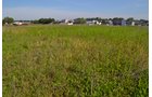 Property photo 26 - **CANCELED** DEVELOPMENT PROPERTY - 10+/- ACRES OFFERED IN 3 TRACTS OR ANY COMBINATION AND AS A WHOLE IN LAKE COUNTY, INDIANA