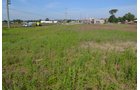 Property photo 27 - **CANCELED** DEVELOPMENT PROPERTY - 10+/- ACRES OFFERED IN 3 TRACTS OR ANY COMBINATION AND AS A WHOLE IN LAKE COUNTY, INDIANA