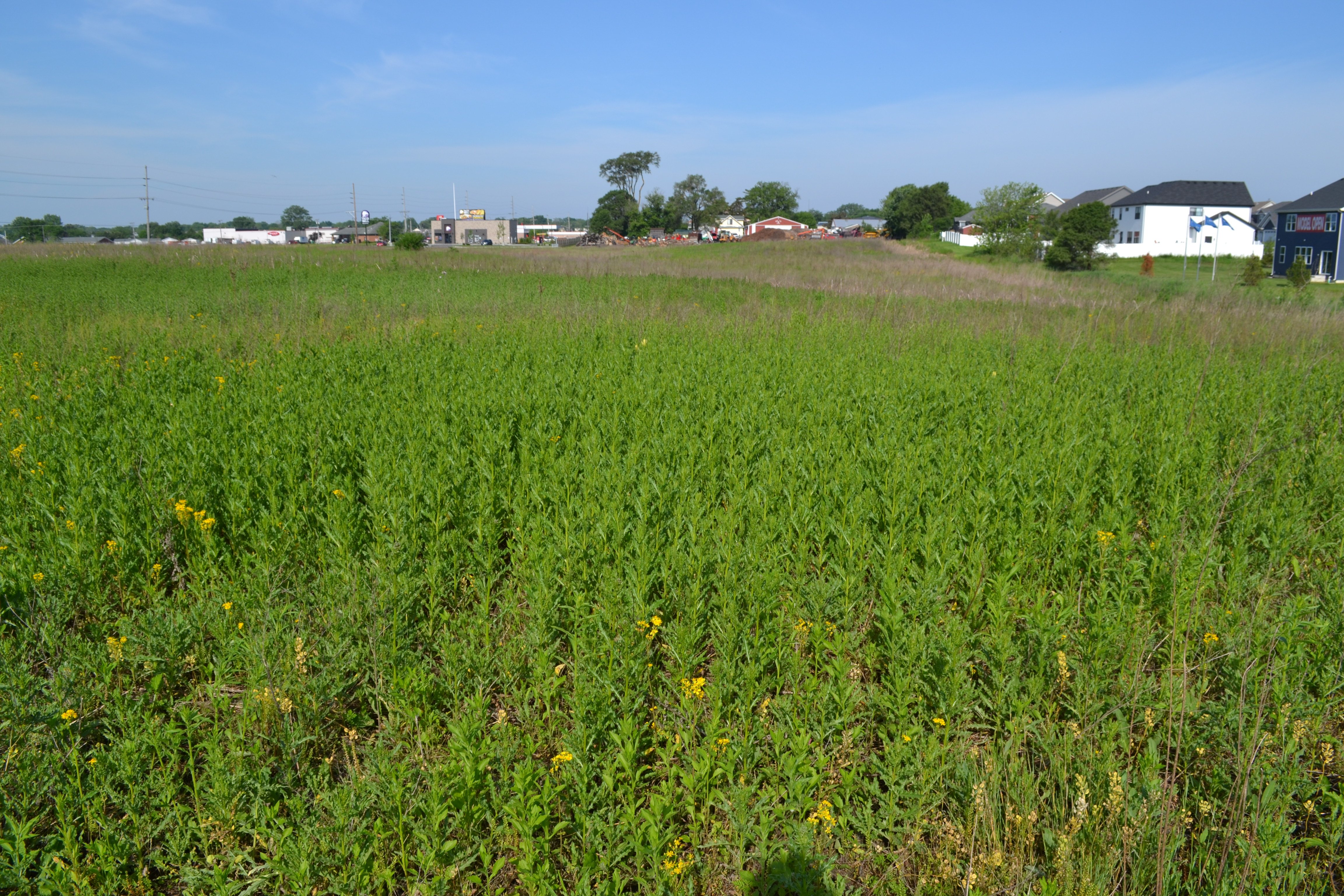Property photo 29 - **CANCELED** DEVELOPMENT PROPERTY - 10+/- ACRES OFFERED IN 3 TRACTS OR ANY COMBINATION AND AS A WHOLE IN LAKE COUNTY, INDIANA
