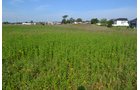Property photo 29 - **CANCELED** DEVELOPMENT PROPERTY - 10+/- ACRES OFFERED IN 3 TRACTS OR ANY COMBINATION AND AS A WHOLE IN LAKE COUNTY, INDIANA