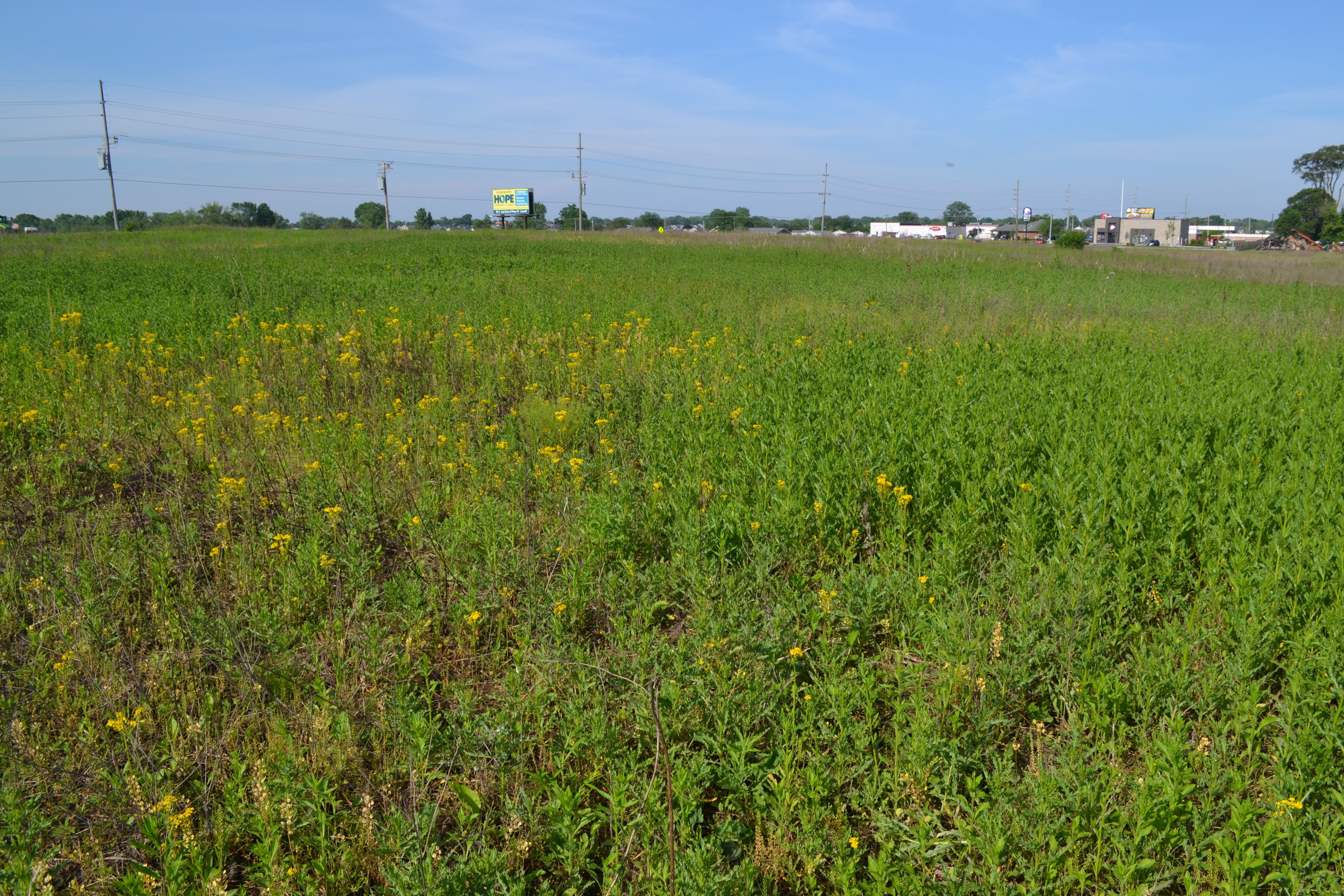 Property photo 30 - **CANCELED** DEVELOPMENT PROPERTY - 10+/- ACRES OFFERED IN 3 TRACTS OR ANY COMBINATION AND AS A WHOLE IN LAKE COUNTY, INDIANA