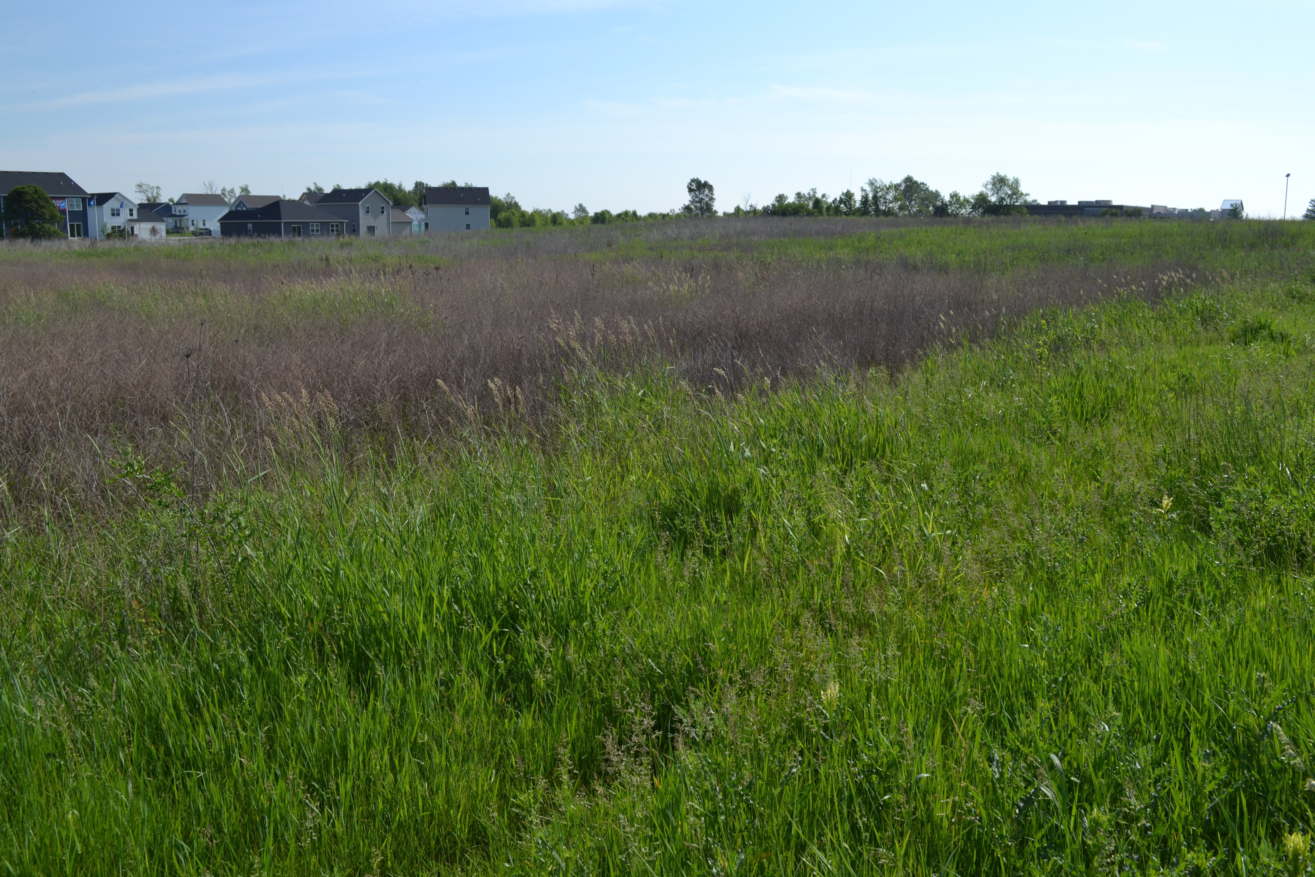 Property photo 33 - **CANCELED** DEVELOPMENT PROPERTY - 10+/- ACRES OFFERED IN 3 TRACTS OR ANY COMBINATION AND AS A WHOLE IN LAKE COUNTY, INDIANA