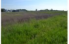 Property photo 33 - **CANCELED** DEVELOPMENT PROPERTY - 10+/- ACRES OFFERED IN 3 TRACTS OR ANY COMBINATION AND AS A WHOLE IN LAKE COUNTY, INDIANA