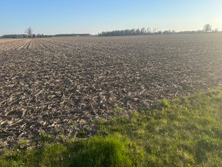 Property photo 13 - LAND AUCTION - 59+/- ACRES OFFERED IN 4 TRACTS IN ALLEN COUNTY, INDIANA