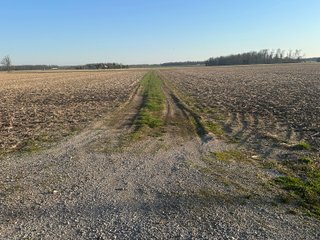 Property photo 14 - LAND AUCTION - 59+/- ACRES OFFERED IN 4 TRACTS IN ALLEN COUNTY, INDIANA
