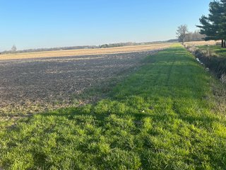 Property photo 15 - LAND AUCTION - 59+/- ACRES OFFERED IN 4 TRACTS IN ALLEN COUNTY, INDIANA