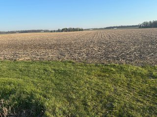 Property photo 18 - LAND AUCTION - 59+/- ACRES OFFERED IN 4 TRACTS IN ALLEN COUNTY, INDIANA