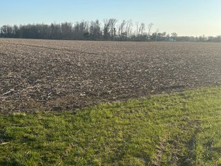 Property photo 19 - LAND AUCTION - 59+/- ACRES OFFERED IN 4 TRACTS IN ALLEN COUNTY, INDIANA