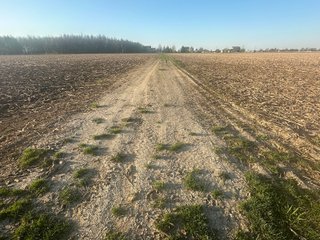Property photo 21 - LAND AUCTION - 59+/- ACRES OFFERED IN 4 TRACTS IN ALLEN COUNTY, INDIANA