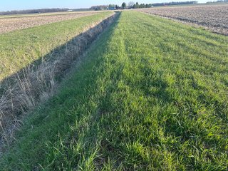 Property photo 23 - LAND AUCTION - 59+/- ACRES OFFERED IN 4 TRACTS IN ALLEN COUNTY, INDIANA