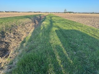 Property photo 37 - LAND AUCTION - 59+/- ACRES OFFERED IN 4 TRACTS IN ALLEN COUNTY, INDIANA