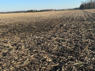 Property photo 35 - LAND AUCTION - 59+/- ACRES OFFERED IN 4 TRACTS IN ALLEN COUNTY, INDIANA