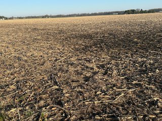 Property photo 34 - LAND AUCTION - 59+/- ACRES OFFERED IN 4 TRACTS IN ALLEN COUNTY, INDIANA